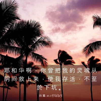 Picture 03 - 诗 篇 30:3 CUVS - 耶 和 华 啊 ， 你 曾 把 我 的 灵 魂 - Bible Verse Picture