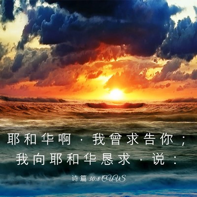 Picture 03 - 诗 篇 30:8 CUVS - 耶 和 华 啊 ， 我 曾 求 告 你 ； 我 - Bible Verse Picture