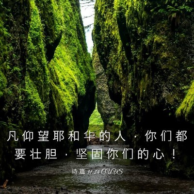 Picture 03 - 诗 篇 31:24 CUVS - 凡 仰 望 耶 和 华 的 人 ， 你 们 都 - Bible Verse Picture