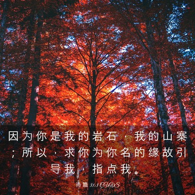 Picture 03 - 诗 篇 31:3 CUVS - 因 为 你 是 我 的 岩 石 ， 我 的 山 - Bible Verse Picture