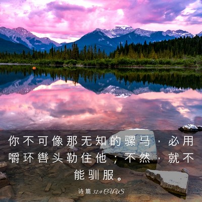 Picture 03 - 诗 篇 32:9 CUVS - 你 不 可 像 那 无 知 的 骡 马 ， 必 - Bible Verse Picture
