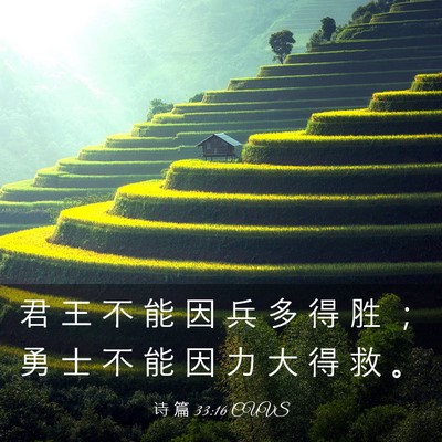 Picture 03 - 诗 篇 33:16 CUVS - 君 王 不 能 因 兵 多 得 胜 ； 勇 士 - Bible Verse Picture
