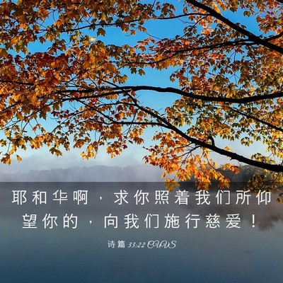 Picture 03 - 诗 篇 33:22 CUVS - 耶 和 华 啊 ， 求 你 照 着 我 们 所 - Bible Verse Picture