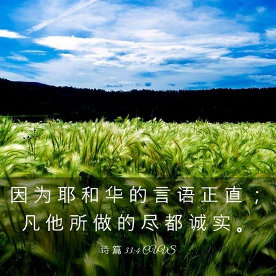 Picture 03 - 诗 篇 33:4 CUVS - 因 为 耶 和 华 的 言 语 正 直 ； 凡 - Bible Verse Picture