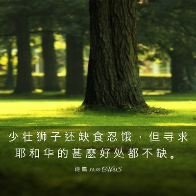 Picture 03 - 诗 篇 34:10 CUVS - 少 壮 狮 子 还 缺 食 忍 饿 ， 但 寻 - Bible Verse Picture