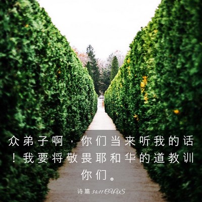 Picture 03 - 诗 篇 34:11 CUVS - 众 弟 子 啊 ， 你 们 当 来 听 我 的 - Bible Verse Picture