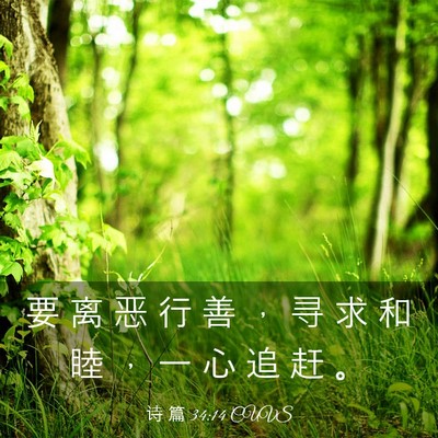 Picture 03 - 诗 篇 34:14 CUVS - 要 离 恶 行 善 ， 寻 求 和 睦 ， 一 - Bible Verse Picture