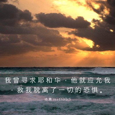 Picture 03 - 诗 篇 34:4 CUVS - 我 曾 寻 求 耶 和 华 ， 他 就 应 允 - Bible Verse Picture