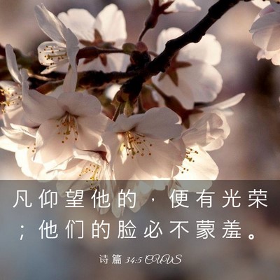 Picture 03 - 诗 篇 34:5 CUVS - 凡 仰 望 他 的 ， 便 有 光 荣 ； 他 - Bible Verse Picture