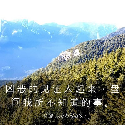 Picture 03 - 诗 篇 35:11 CUVS - 凶 恶 的 见 证 人 起 来 ， 盘 问 我 - Bible Verse Picture