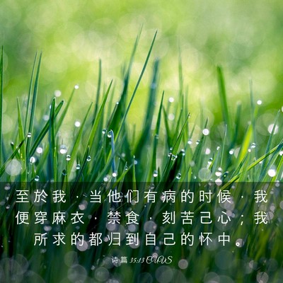 Picture 03 - 诗 篇 35:13 CUVS - 至 於 我 ， 当 他 们 有 病 的 时 候 - Bible Verse Picture