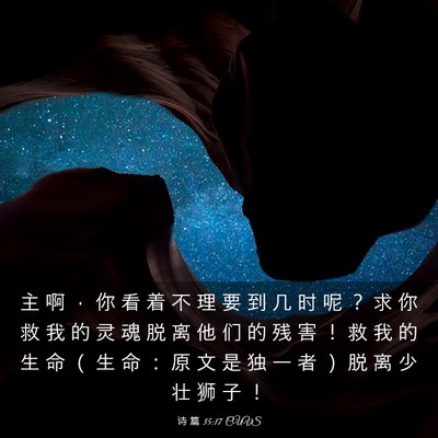 Picture 03 - 诗 篇 35:17 CUVS - 主 啊 ， 你 看 着 不 理 要 到 几 时 - Bible Verse Picture
