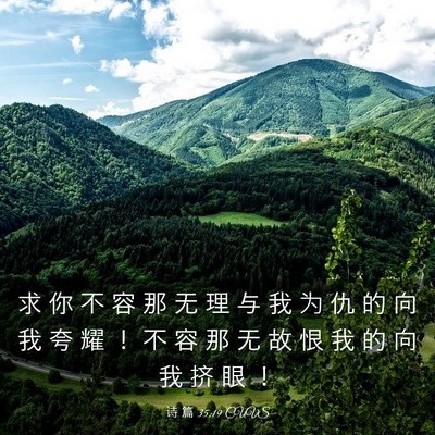 Picture 03 - 诗 篇 35:19 CUVS - 求 你 不 容 那 无 理 与 我 为 仇 的 - Bible Verse Picture