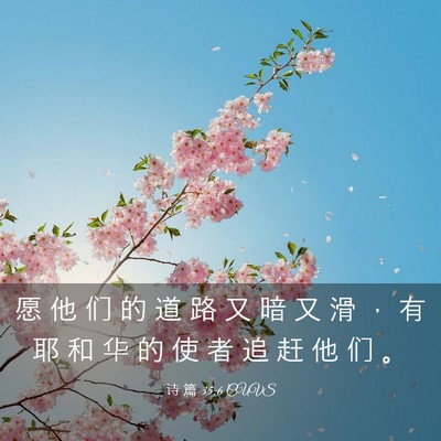 Picture 03 - 诗 篇 35:6 CUVS - 愿 他 们 的 道 路 又 暗 又 滑 ， 有 - Bible Verse Picture