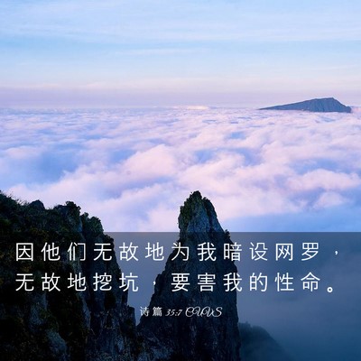 Picture 03 - 诗 篇 35:7 CUVS - 因 他 们 无 故 地 为 我 暗 设 网 罗 - Bible Verse Picture