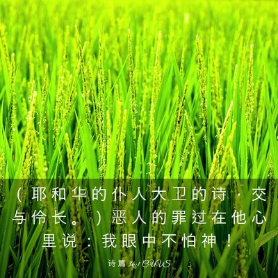 Picture 03 - 诗 篇 36:1 CUVS - （ 耶 和 华 的 仆 人 大 卫 的 诗 ， - Bible Verse Picture