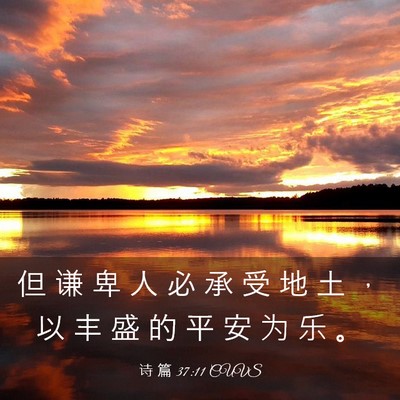 Picture 03 - 诗 篇 37:11 CUVS - 但 谦 卑 人 必 承 受 地 土 ， 以 丰 - Bible Verse Picture