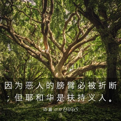 Picture 03 - 诗 篇 37:17 CUVS - 因 为 恶 人 的 膀 臂 必 被 折 断 ； - Bible Verse Picture