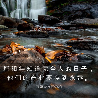 Picture 03 - 诗 篇 37:18 CUVS - 耶 和 华 知 道 完 全 人 的 日 子 ； - Bible Verse Picture