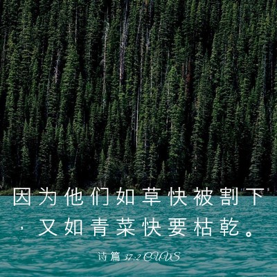 Picture 03 - 诗 篇 37:2 CUVS - 因 为 他 们 如 草 快 被 割 下 ， 又 - Bible Verse Picture