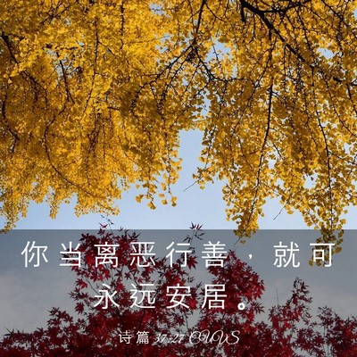 Picture 03 - 诗 篇 37:27 CUVS - 你 当 离 恶 行 善 ， 就 可 永 远 安 - Bible Verse Picture