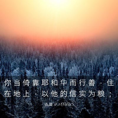Picture 03 - 诗 篇 37:3 CUVS - 你 当 倚 靠 耶 和 华 而 行 善 ， 住 - Bible Verse Picture