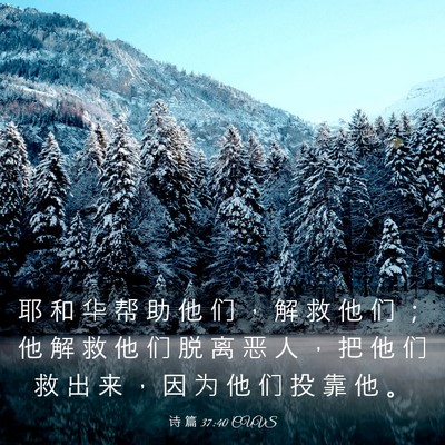 Picture 03 - 诗 篇 37:40 CUVS - 耶 和 华 帮 助 他 们 ， 解 救 他 们 - Bible Verse Picture