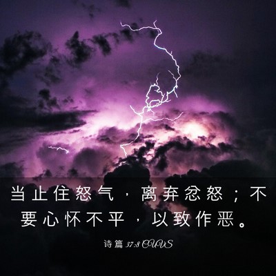 Picture 03 - 诗 篇 37:8 CUVS - 当 止 住 怒 气 ， 离 弃 忿 怒 ； 不 - Bible Verse Picture