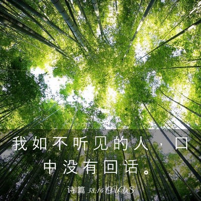 Picture 03 - 诗 篇 38:14 CUVS - 我 如 不 听 见 的 人 ， 口 中 没 有 - Bible Verse Picture