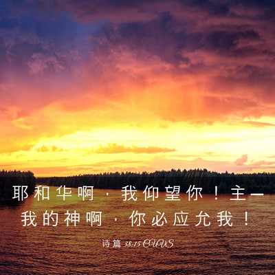Picture 03 - 诗 篇 38:15 CUVS - 耶 和 华 啊 ， 我 仰 望 你 ！ 主 ─ - Bible Verse Picture