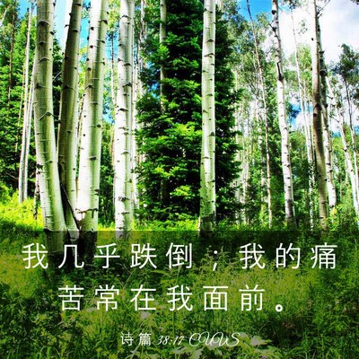 Picture 03 - 诗 篇 38:17 CUVS - 我 几 乎 跌 倒 ； 我 的 痛 苦 常 在 - Bible Verse Picture