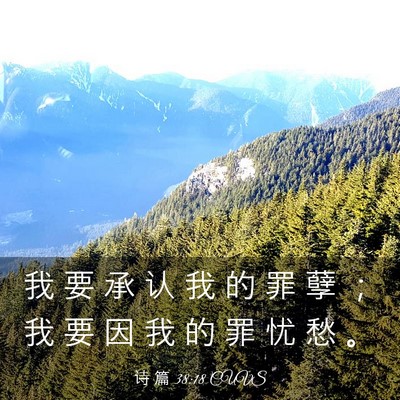 Picture 03 - 诗 篇 38:18 CUVS - 我 要 承 认 我 的 罪 孽 ； 我 要 因 - Bible Verse Picture