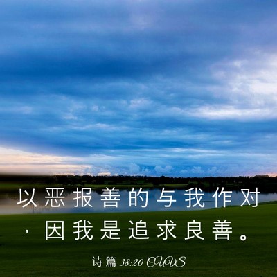 Picture 03 - 诗 篇 38:20 CUVS - 以 恶 报 善 的 与 我 作 对 ， 因 我 - Bible Verse Picture