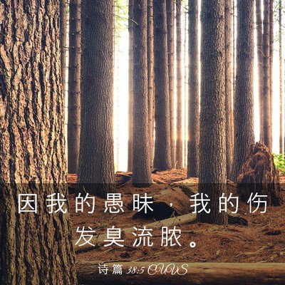 Picture 03 - 诗 篇 38:5 CUVS - 因 我 的 愚 昧 ， 我 的 伤 发 臭 流 - Bible Verse Picture
