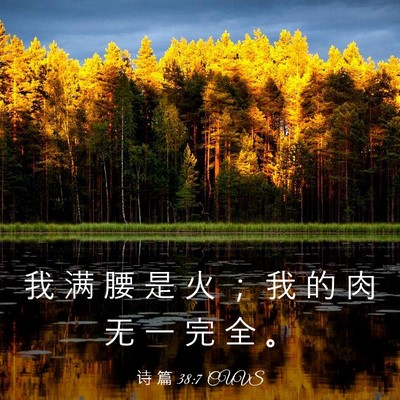Picture 03 - 诗 篇 38:7 CUVS - 我 满 腰 是 火 ； 我 的 肉 无 一 完 - Bible Verse Picture