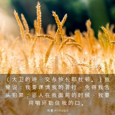 Picture 03 - 诗 篇 39:1 CUVS - （ 大 卫 的 诗 ， 交 与 伶 长 耶 杜 - Bible Verse Picture