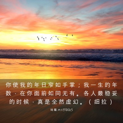 Picture 03 - 诗 篇 39:5 CUVS - 你 使 我 的 年 日 窄 如 手 掌 ； 我 - Bible Verse Picture