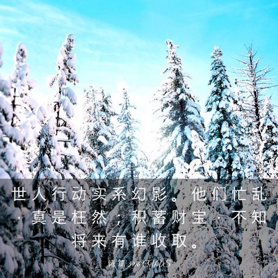 Picture 03 - 诗 篇 39:6 CUVS - 世 人 行 动 实 系 幻 影 。 他 们 忙 - Bible Verse Picture