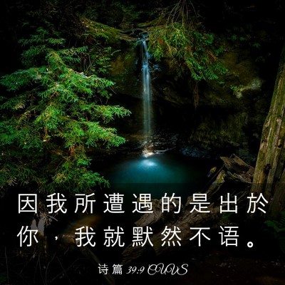 Picture 03 - 诗 篇 39:9 CUVS - 因 我 所 遭 遇 的 是 出 於 你 ， 我 - Bible Verse Picture