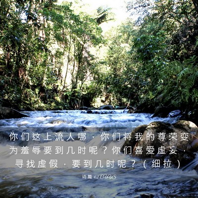 Picture 03 - 诗 篇 4:2 CUVS - 你 们 这 上 流 人 哪 ， 你 们 将 我 - Bible Verse Picture