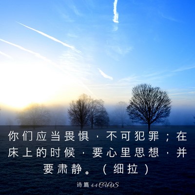 Picture 03 - 诗 篇 4:4 CUVS - 你 们 应 当 畏 惧 ， 不 可 犯 罪 ； - Bible Verse Picture