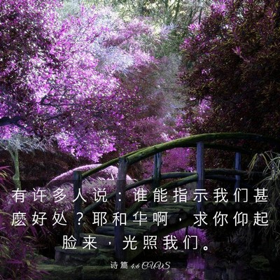 Picture 03 - 诗 篇 4:6 CUVS - 有 许 多 人 说 ： 谁 能 指 示 我 们 - Bible Verse Picture