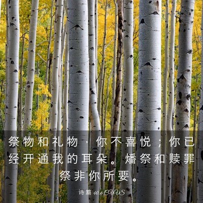Picture 03 - 诗 篇 40:6 CUVS - 祭 物 和 礼 物 ， 你 不 喜 悦 ； 你 - Bible Verse Picture