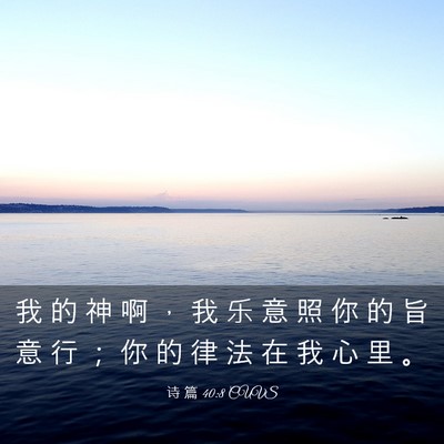 Picture 03 - 诗 篇 40:8 CUVS - 我 的 神 啊 ， 我 乐 意 照 你 的 旨 - Bible Verse Picture