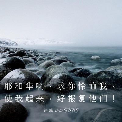 Picture 03 - 诗 篇 41:10 CUVS - 耶 和 华 啊 ， 求 你 怜 恤 我 ， 使 - Bible Verse Picture