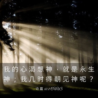 Picture 03 - 诗 篇 42:2 CUVS - 我 的 心 渴 想 神 ， 就 是 永 生 神 - Bible Verse Picture