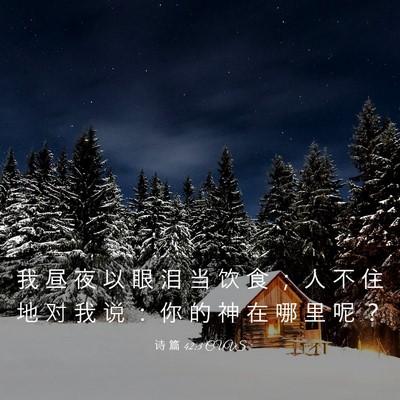 Picture 03 - 诗 篇 42:3 CUVS - 我 昼 夜 以 眼 泪 当 饮 食 ； 人 不 - Bible Verse Picture