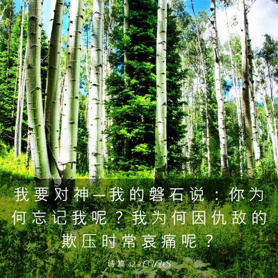 Picture 03 - 诗 篇 42:9 CUVS - 我 要 对 神 ─ 我 的 磐 石 说 ： 你 - Bible Verse Picture