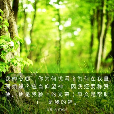 Picture 03 - 诗 篇 43:5 CUVS - 我 的 心 哪 ， 你 为 何 忧 闷 ？ 为 - Bible Verse Picture