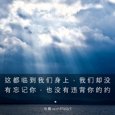 Picture 03 - 诗 篇 44:17 CUVS - 这 都 临 到 我 们 身 上 ， 我 们 却 - Bible Verse Picture